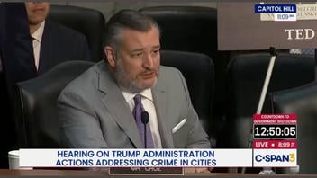 Fact Check: Ted Cruz DID Say 'Let's Stop Attacking Pedophiles', But His Representative Told Reporters The Senator Misspoke