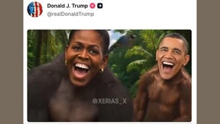 Fact Check: Donald Trump DID Post A Video Including A Clip Portraying The Obamas As Apes 