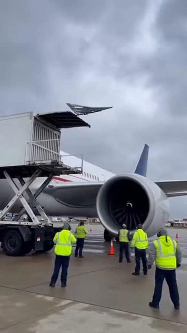 cargojet.jpg