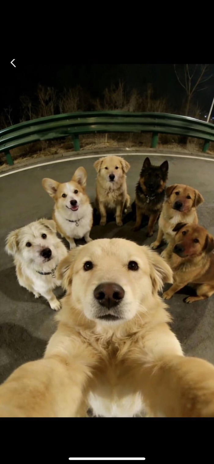 image - 2026-03-24T150611.208.png