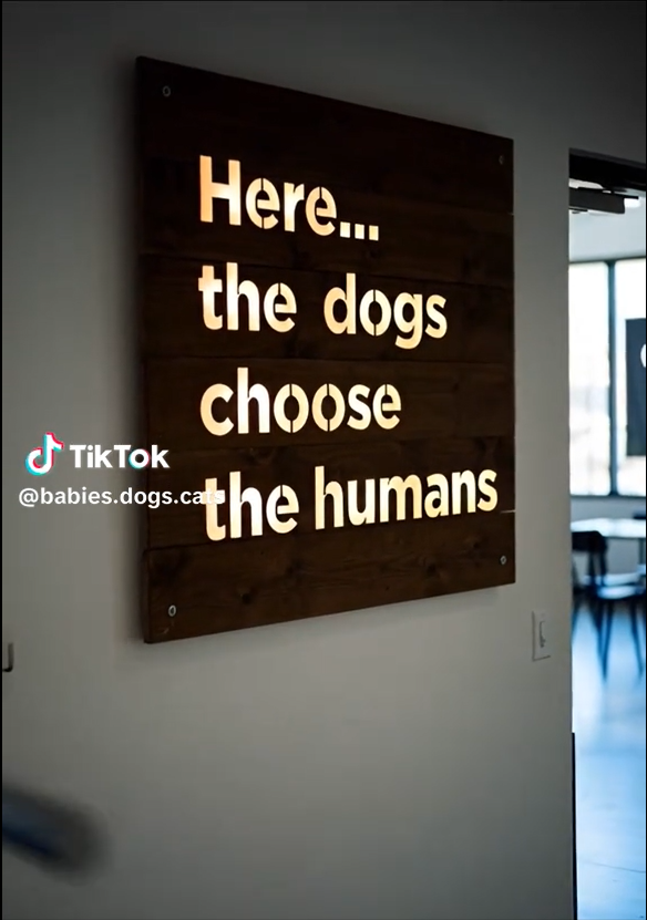 Screenshot 2026-03-15 134926.png