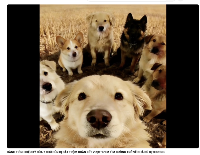 Screenshot 2026-03-24 at 4.41.48 PM.png