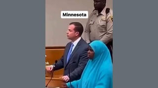 Fact Check: FAKE AI Montage Does NOT Show Real Convictions Or Repossessions Related To Somali Daycare Fraud In Minnesota