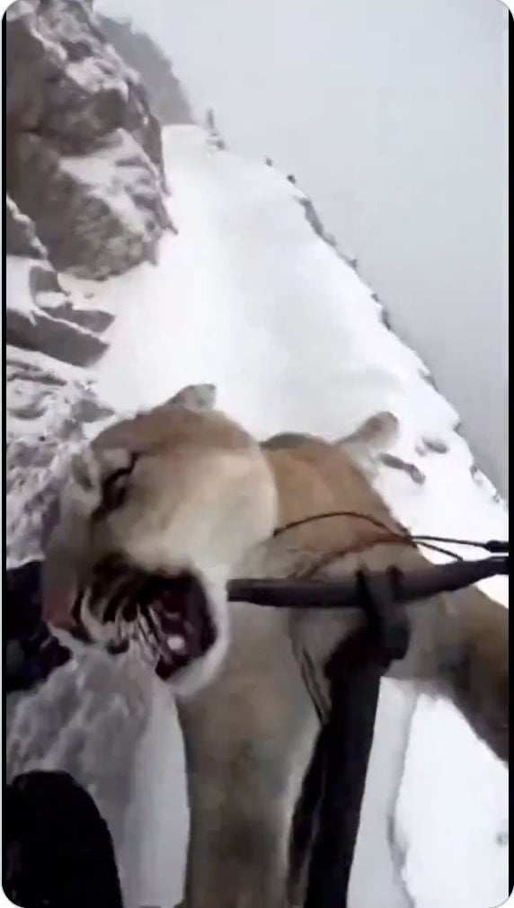 Screen Shot 2026-03-20 at 12.54.24 PM.png