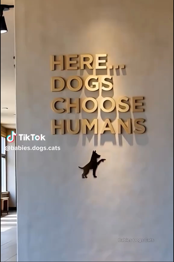 Screenshot 2026-03-15 195251.png