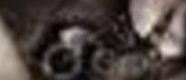 Screenshot 2026-03-13 at 5.17.48 PM.png