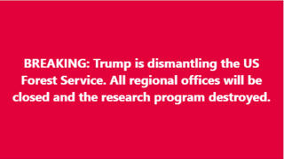 Fact Check: Trump Is NOT Closing All Forest Service Regional Offices, Reorganization Moves Agency West With New Geographic Districts