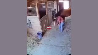 Fact Check: FAKE Video Of Horse Protecting Owner After Earthquake In Japan Is AI-Generated