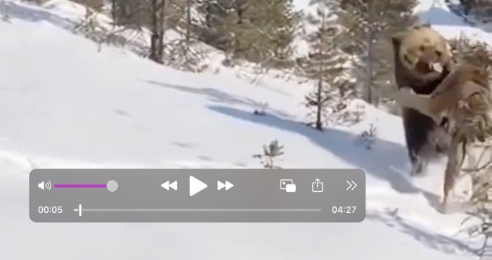 Screenshot 2026-04-23 at 11.45.16 PM.png