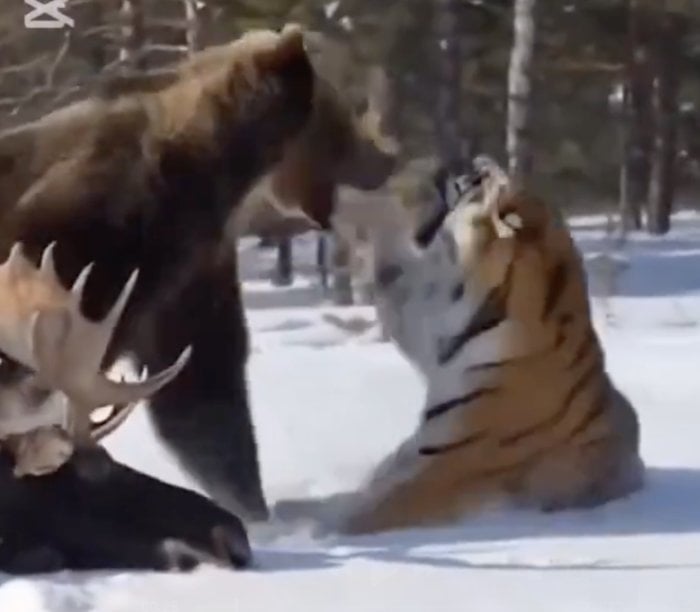 Screenshot 2026-04-23 at 11.51.34 PM.png