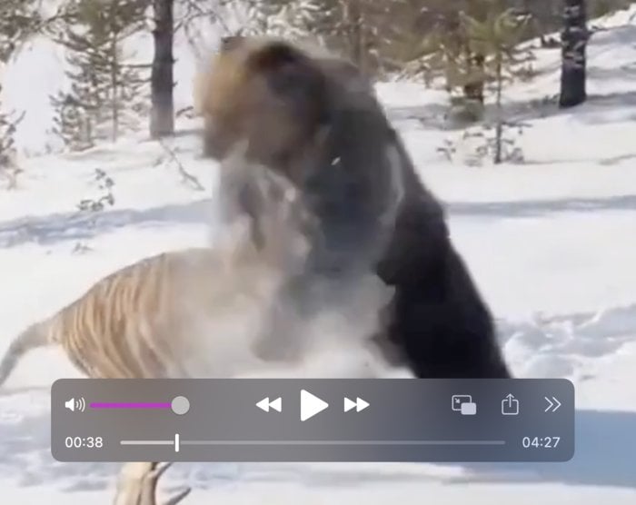 Screenshot 2026-04-24 at 12.04.36 AM.png