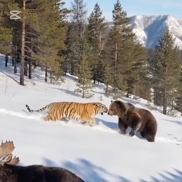 image - 2026-04-23T223220.251.png