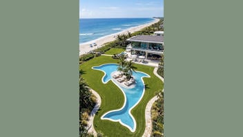 Fact Check: FAKE Video Shows Workers Creating A Dolphin-Shaped Swimming Pool -- It's AI