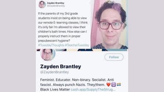 Fact Check: FAKE Twitter Profile "Zayden Brantley" Depicting A Pervy Non-Binary Anti-Fascist Public School Teacher Was Deleted In 2020