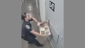Fact Check: FAKE Video Of Prisoner Grabbing Tray From Female Prison Guard Is NOT Real