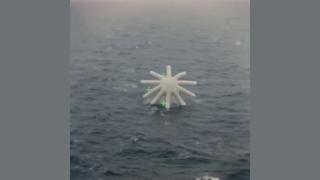Fact Check: FAKE Declassified UFO Footage Shows Octopus-Like Creature With 10 Tentacles Bouncing On The Sea, Flying Off At Great Speed