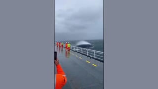 Fact Check: FAKE Video Shows Enormous Whale Breaching, Swamping Workers With A Wave -- It's AI