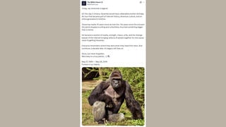 Fact Check: The White House DID Publish A Post Commemorating The Tenth Anniversary Of The Death Of Harambe The Gorilla