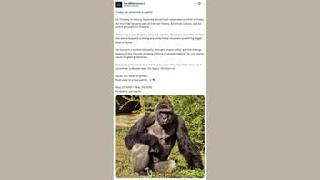 Fact Check: The White House DID Publish A Post Commemorating The Tenth Anniversary Of The Death Of Harambe The Gorilla