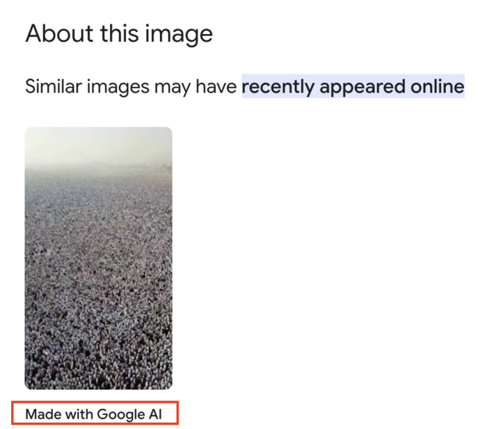 Screenshot 2026-05-27 at 10.32.33 AM.png