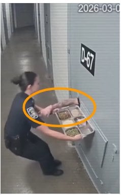 orange cirlce prisoner guard.png