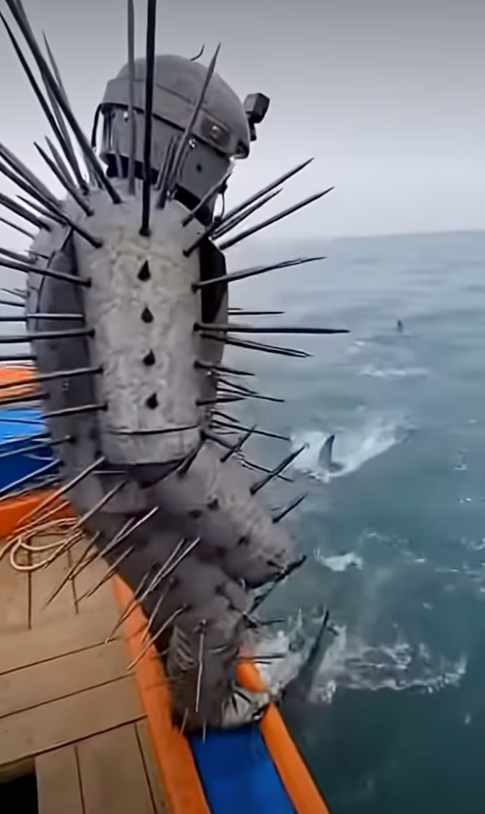 Sharkpic.png
