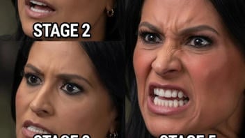 Fact Check: Images Of Kristen Welker's 'Five Stages Of Trump Derangement Syndrome' Are FAKE -- AI-Generated Photos