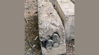 Fact Check: Photo Does NOT Show Man From Gaza Buried In Concrete By Israeli Soldiers