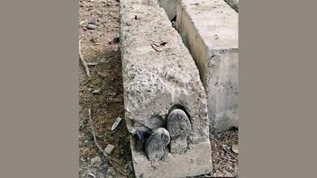 Fact Check: Photo Does NOT Show Man From Gaza Buried In Concrete By Israeli Soldiers