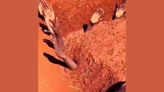 Fact Check: FAKE Video Of Hands Sticking Out Of The Ground Does NOT Show People Allegedly Buried Alive In Sudan