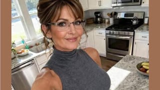 Fact Check: Posts Claiming Sarah Palin, Michelle Obama, Or Other Celebs Wore 'Probably The Smallest Bikini In The World' Are NOT Real -- AI Slop From Macedonia