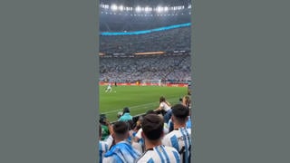 Fact Check: FAKE Video Shows Fan Running Onto Field To Hug Messi At The World Cup -- It's AI