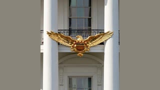 Fact Check: Trump Posted AI-Generated Photo Of Golden Eagle 'Gifted' To White House For 250th Birthday