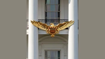 Fact Check: Trump Posted AI-Generated Photo Of Golden Eagle 'Gifted' To White House For 250th Birthday