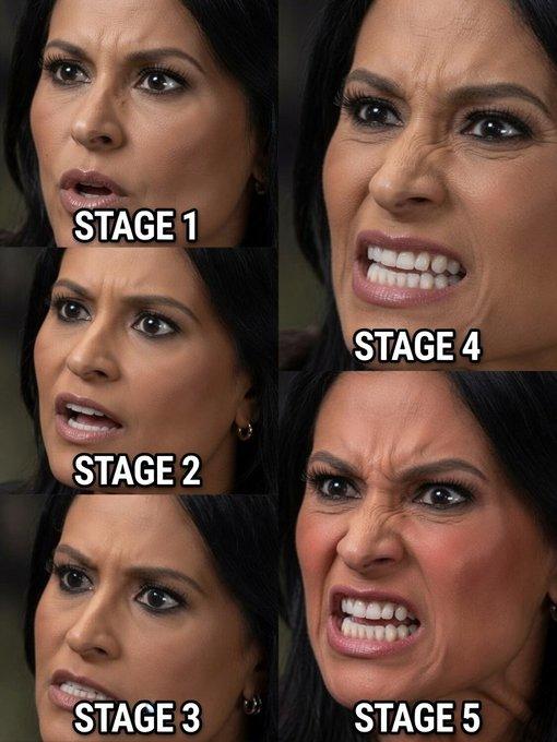 welker_5_stages_meme.jpeg