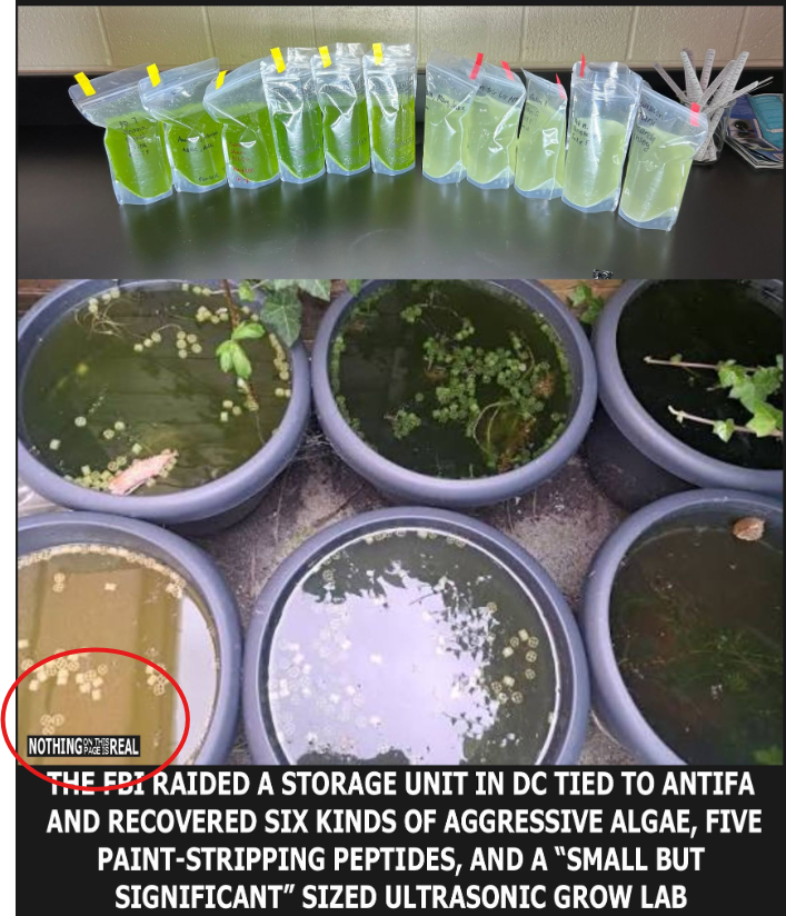 Redcircle.png