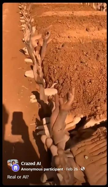 Fact Check: FAKE Video Of Hands Sticking Out Of The Ground Does NOT Show People Allegedly Buried Alive In Sudan