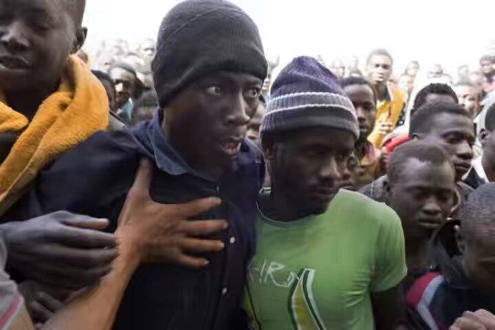 migrantsthumbnail.jpg