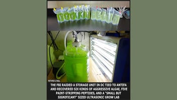 Fact Check: FBI Did NOT Raid 'Antifa' Storage Unit, Find 'Aggressive Algae' -- It's From Satire Site