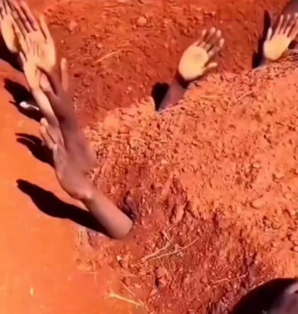 sudanthumbnail.jpg