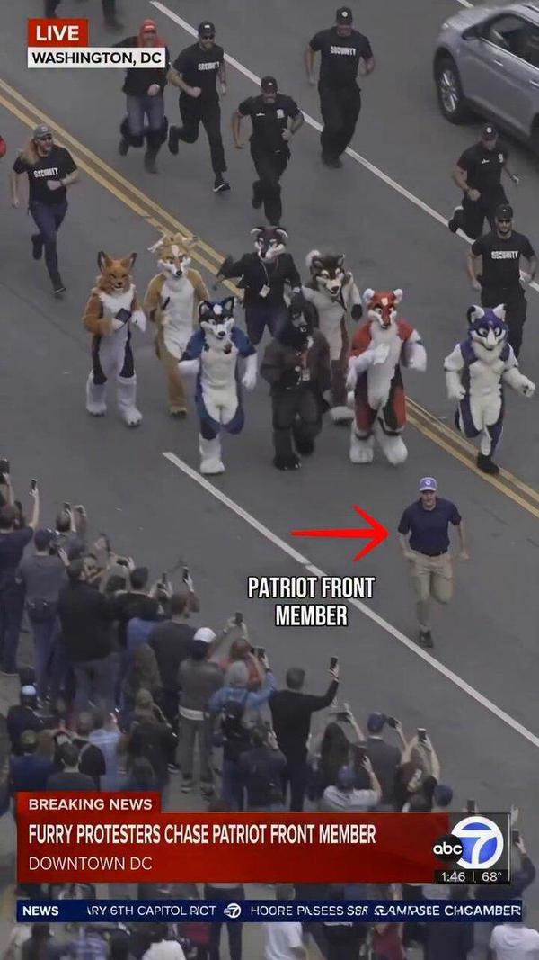 FurriesThumbnail.jpg