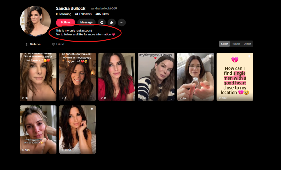 sandyreal.png
