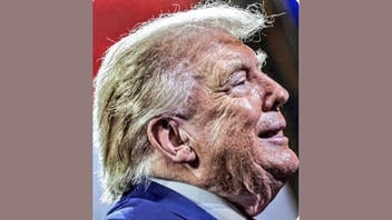 Fact Check: Doctored Trump Pic Exaggerates Face Wrinkles, Adds Blemishes And Makes Him Paler