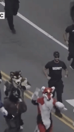 securityGIF.gif