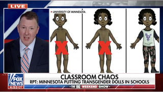 Fact Check: Minnesota Department of Education Did NOT Announce 'Transgender Dolls' For Public School Classrooms In Fall 2026