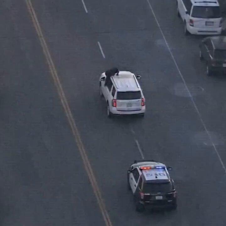 Fakecarchase.jpg