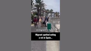 Fact Check: Video Does NOT Show Migrant Eating Rat In Europe -- Scene Is From South Africa