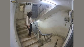 Fact Check: FAKE Video Shows Woman Violently Falling Down Stairs Due to Something Supernatural After Cat Passes 