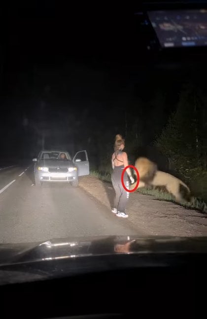 lionwatchon.png