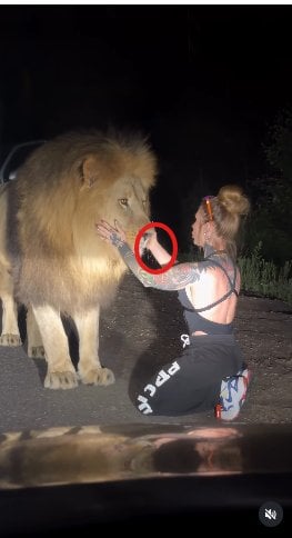 lionwristafter.png